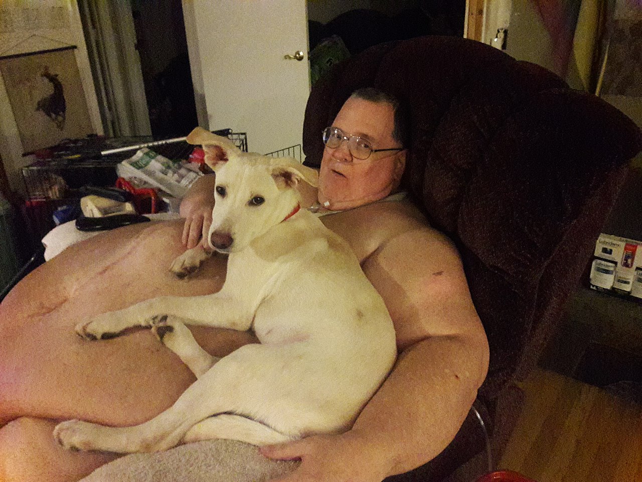 狗躺在主人腿上